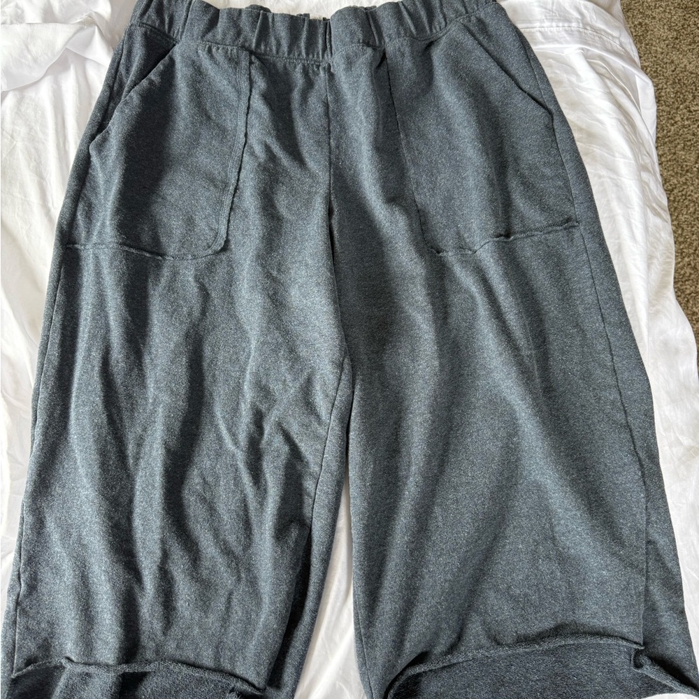 Adore Me Ankle Pants